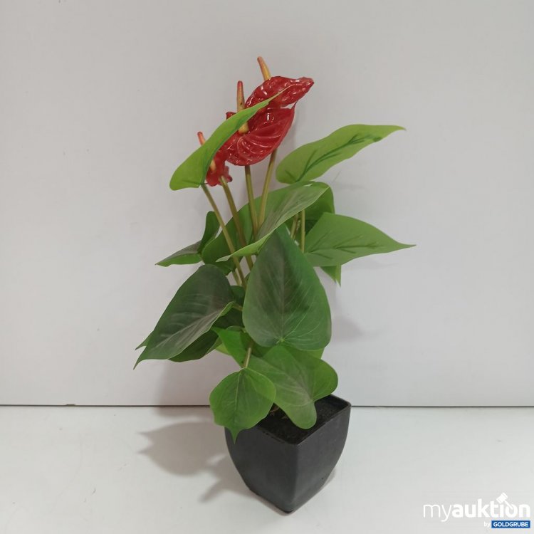 Artikel Nr. 963881 Artikel Nr. 963881: Kunstpflanze Anthurium mit Topf