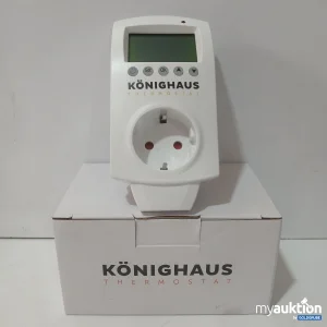 Auktion Könighaus Thermostat