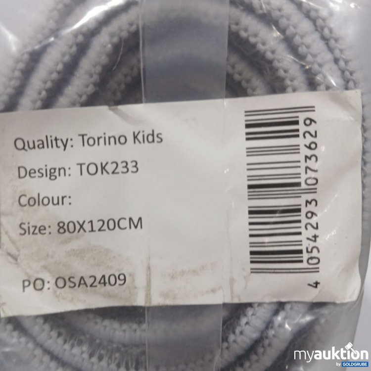 Artikel Nr. 441882: Torino Kids Design TOK233 Teppich