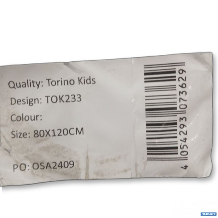 Artikel Nr. 441882: Torino Kids Design TOK233 Teppich