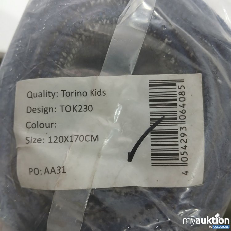 Artikel Nr. 441883: Torino Kids Design TOK230 Teppich 120x170 cm