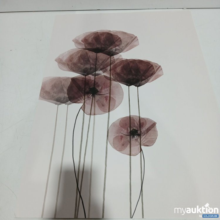Artikel Nr. 462885: Diverse Papier-Bilder 6x