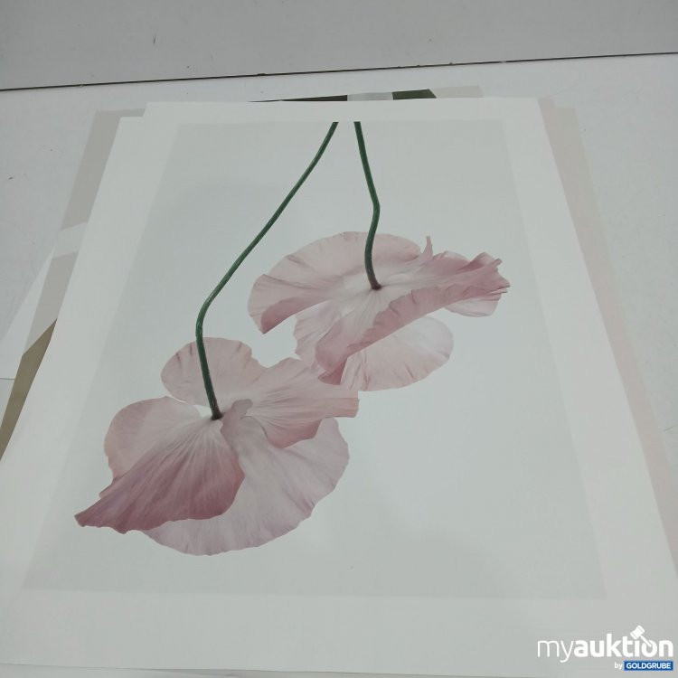 Artikel Nr. 462885: Diverse Papier-Bilder 6x