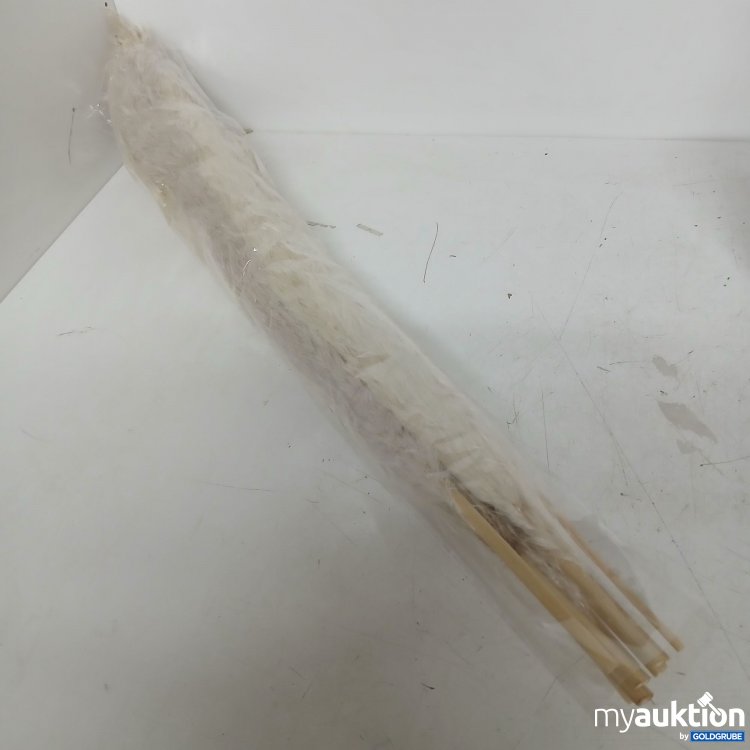 Artikel Nr. 397888: Pampasgras 10 Stück 60cm