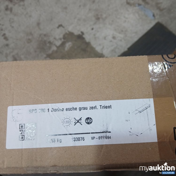 Artikel Nr. 872888 Artikel Nr. 872888: WS SPS 700.1 Dorina Esche grau zerl. Trient VP-0111694