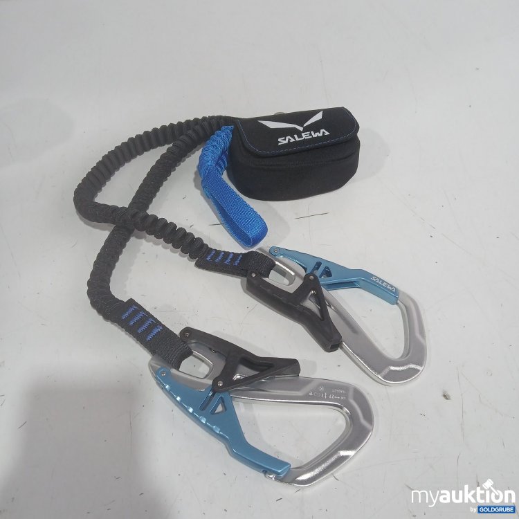 Artikel Nr. 468897: Salewa Via Ferrata Set