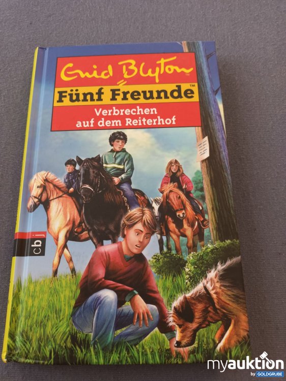 Artikel Nr. 901897: Fünf Freunde 