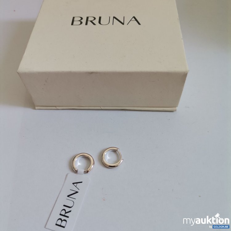Artikel Nr. 860900 Artikel Nr. 860900: Bruna mini Creolen