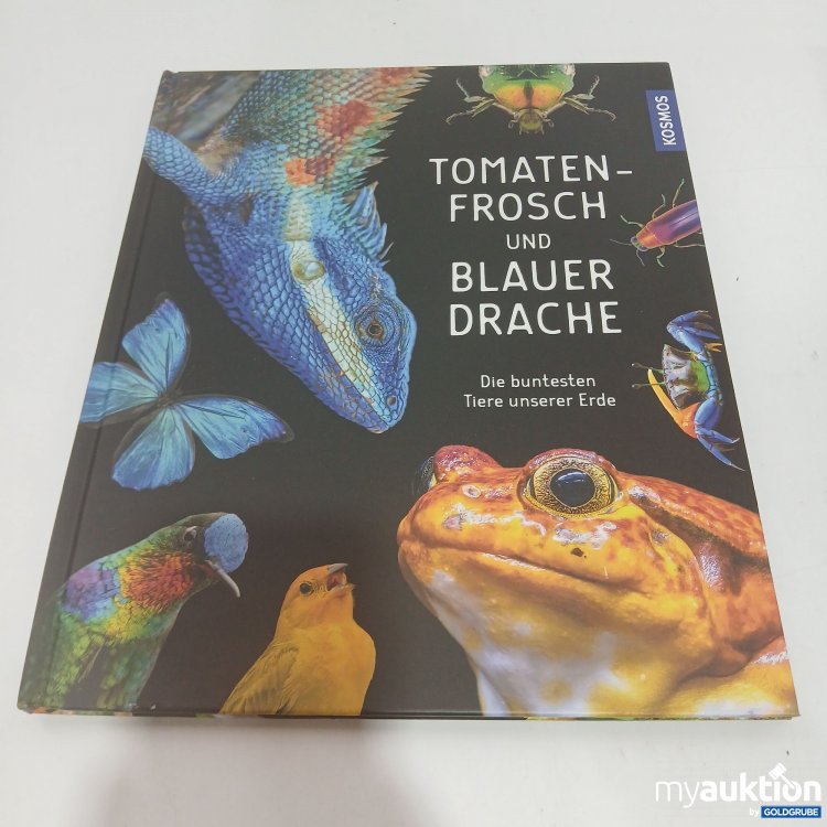 Artikel Nr. 851901 Artikel Nr. 851901: Tomatenfrosch und Blauer Drache