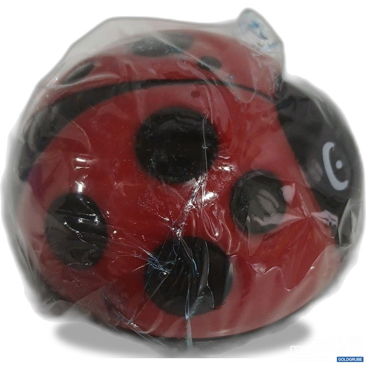 Artikel Nr. 887904: Marienkäfer Timer 