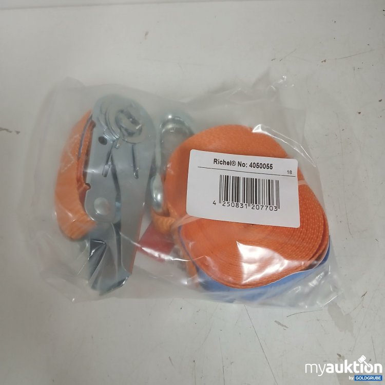 Artikel Nr. 875910 Artikel Nr. 875910: Richel Spanngurt 4050055