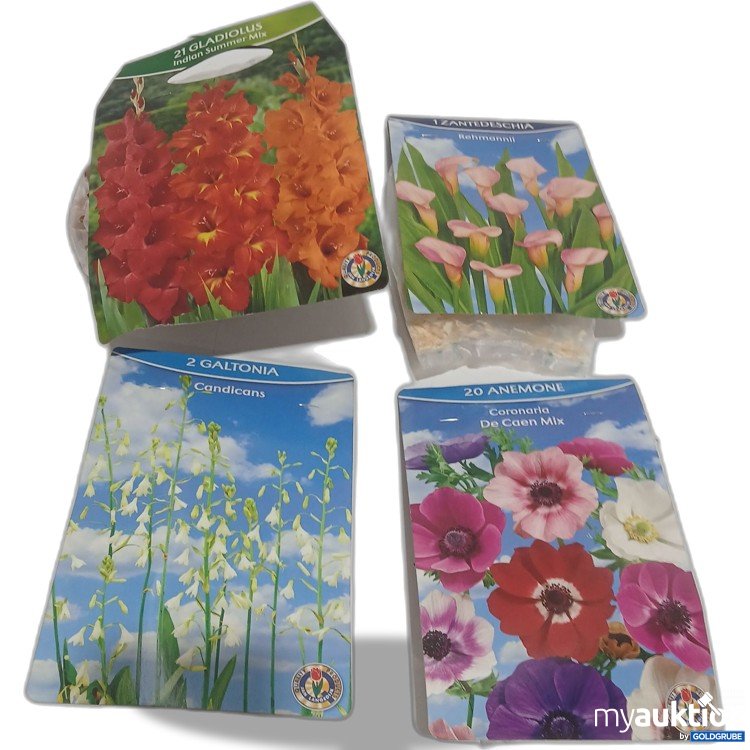 Artikel Nr. 970910 Artikel Nr. 970910: Diverse Blumen Zwiebel 4Sorten