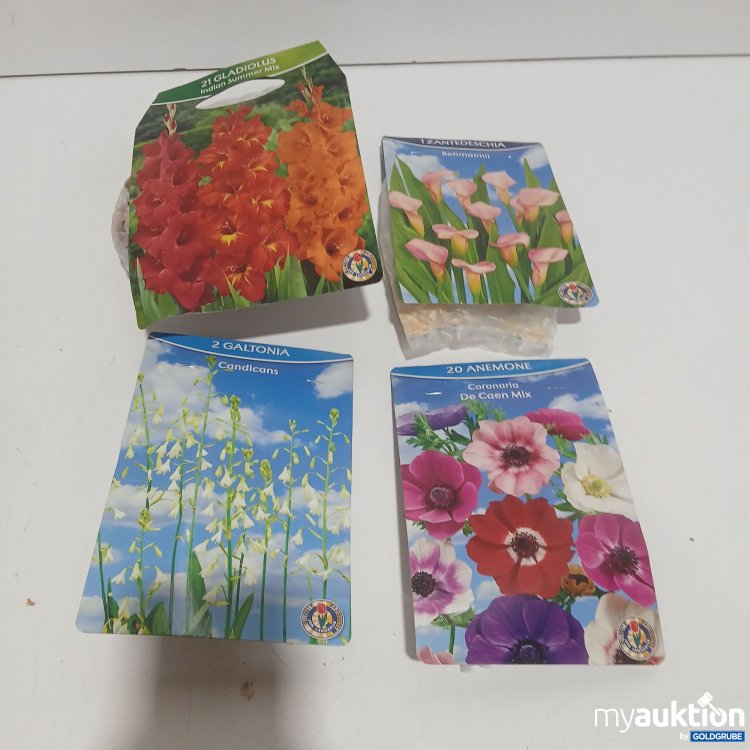 Artikel Nr. 970910 Artikel Nr. 970910: Diverse Blumen Zwiebel 4Sorten