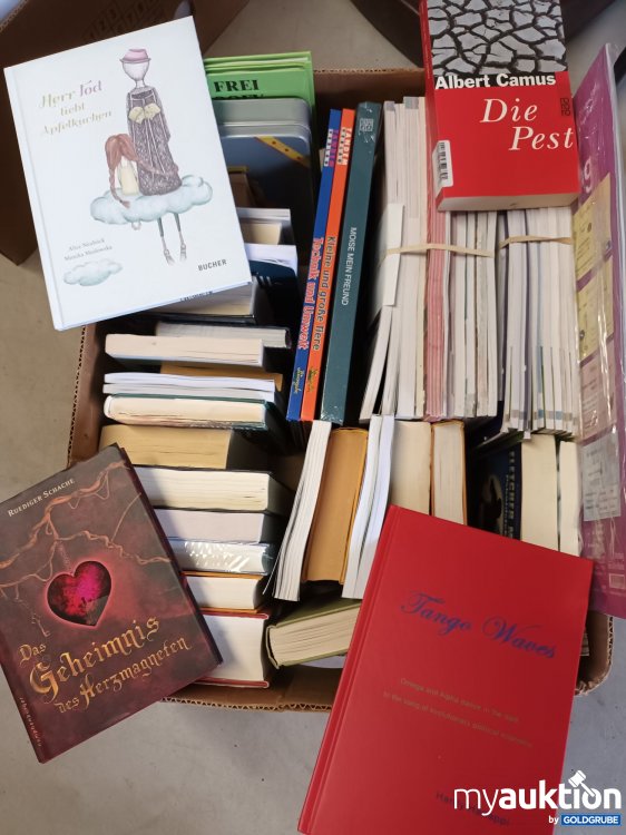 Artikel Nr. 999923 Artikel Nr. 999923: Karton mit 38 Büchern und vielen neuen Schulbücher