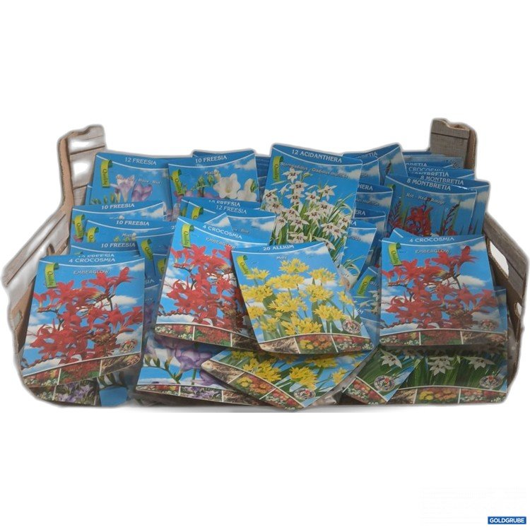 Artikel Nr. 919927: Diverse Blumenzwiebel 57Stk