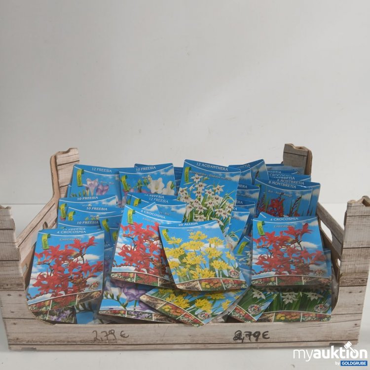 Artikel Nr. 919927: Diverse Blumenzwiebel 57Stk