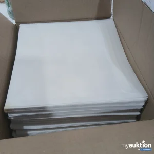 Auktion Papierumschläge 22 x 22 cm halbdurchsichtig (ganzer Karton, genaue Stückzahl nicht ersichtlich)