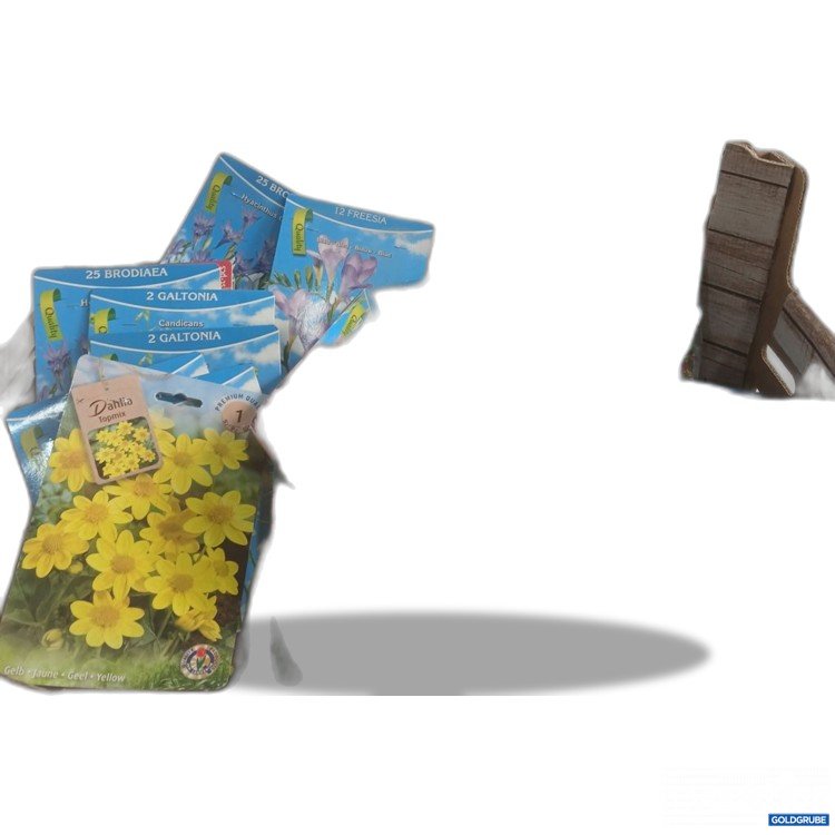 Artikel Nr. 919928: Diverse Blumenzwiebel 27Stk