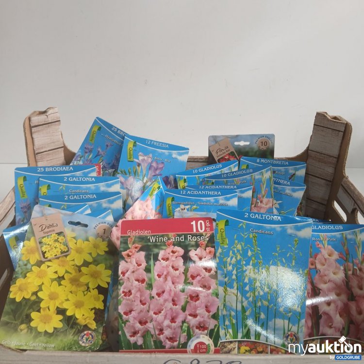 Artikel Nr. 919928: Diverse Blumenzwiebel 27Stk