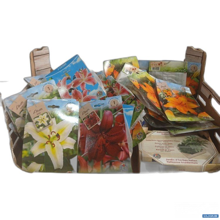 Artikel Nr. 919929: Diverse Blumenzwiebel 27Stk