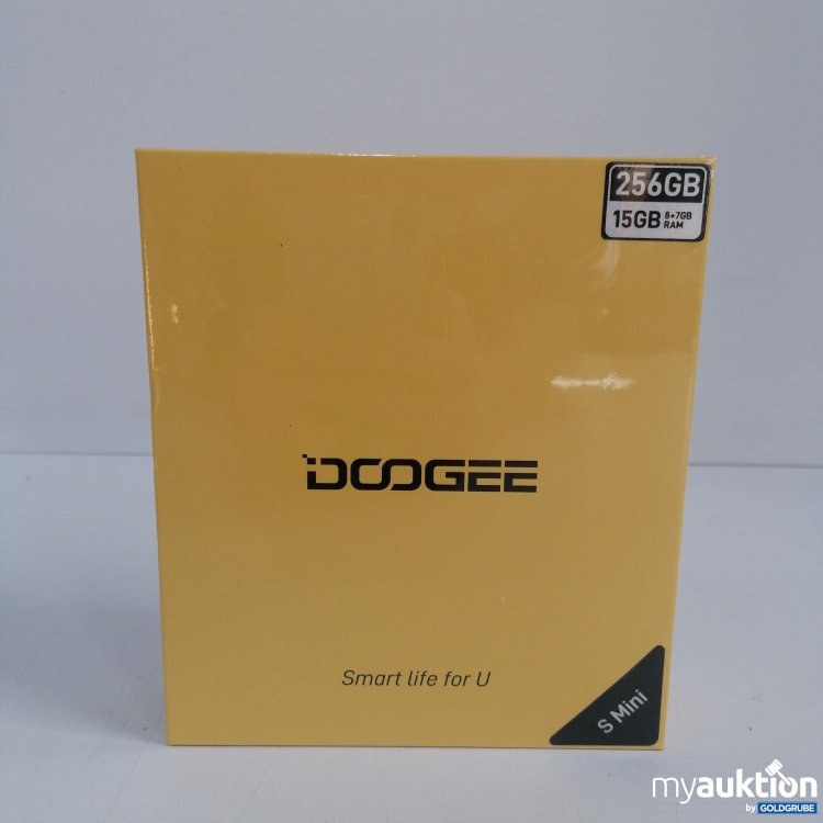 Artikel Nr. 438930: DOOGEE S Mini 256GB, 15GB RAM, 