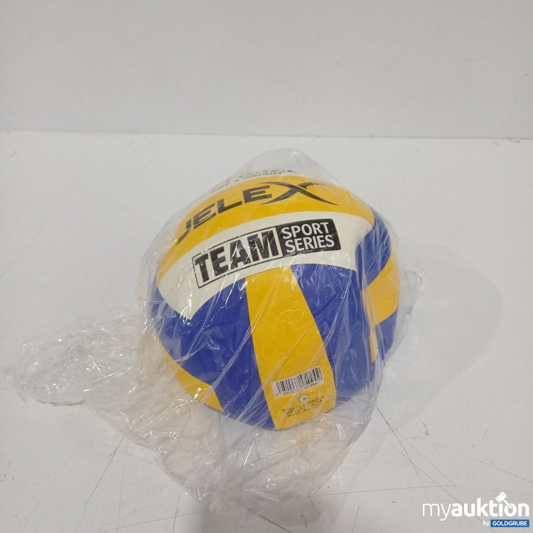 Artikel Nr. 463930 Artikel Nr. 463930: Jelex Volleyball Team Sport Series