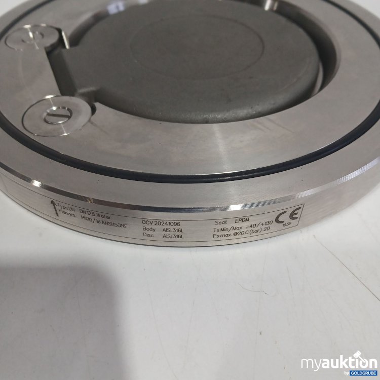 Artikel Nr. 522934: Aichhorn Rückschlagventil DIN125 Wafer PN10/16 