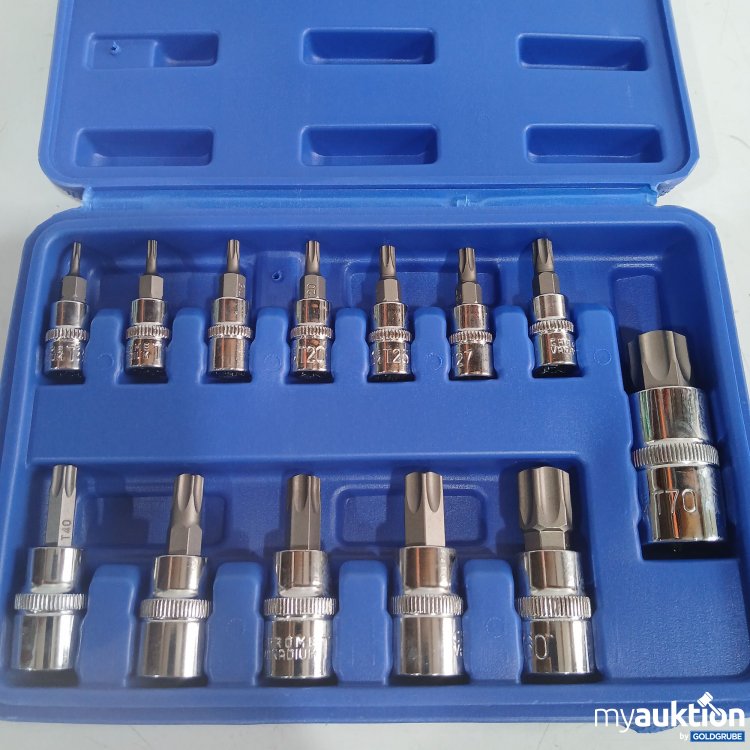 Artikel Nr. 858934: 13Pcs Torx Bit Set 