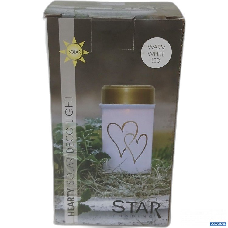 Artikel Nr. 917936 Artikel Nr. 917936: Star Trading Solar Deco Light