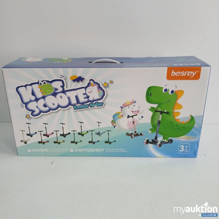 Artikel Nr. 843939 Artikel Nr. 843939: Besrey Kinder Roller BR-K402S