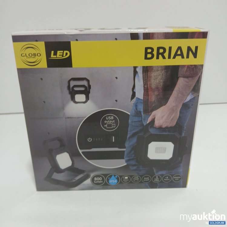 Artikel Nr. 398942 Artikel Nr. 398942: Globo LED Light Brian