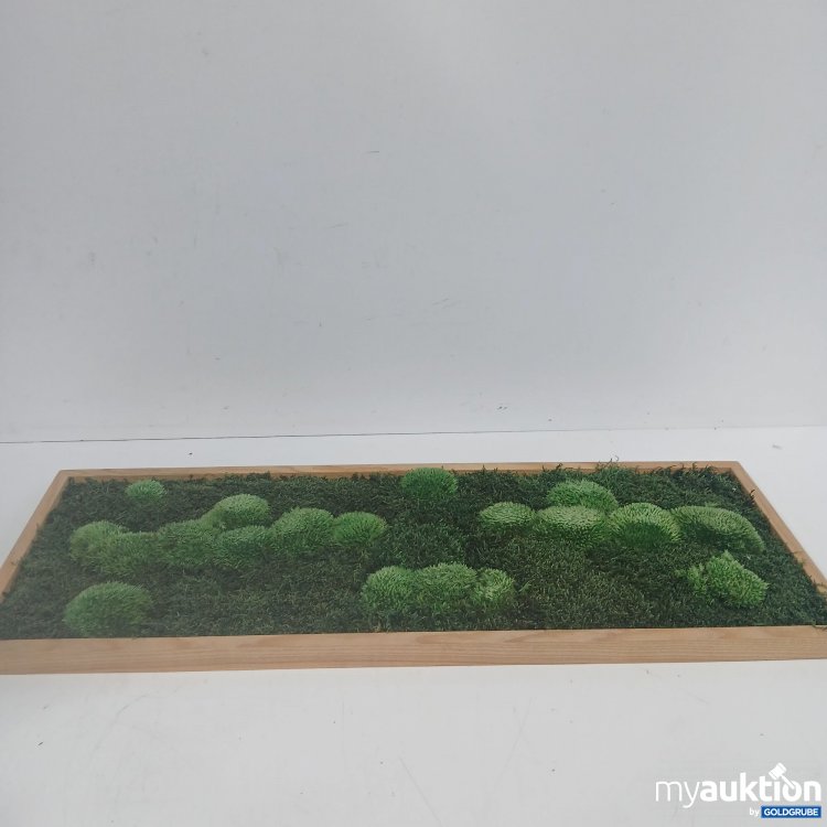 Artikel Nr. 872944 Artikel Nr. 872944: Moosbild ca. 80x30cm