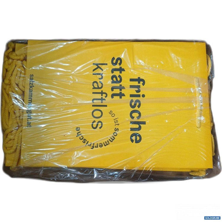 Artikel Nr. 956946: Salzkammergut Papier Tragetaschen ca. 37x26cm 