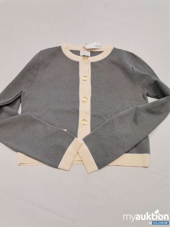 Artikel Nr. 809947 Artikel Nr. 809947: H&M Strickjacke