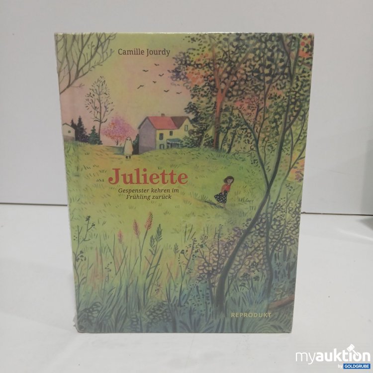 Artikel Nr. 878948: Juliette Graphic Novel