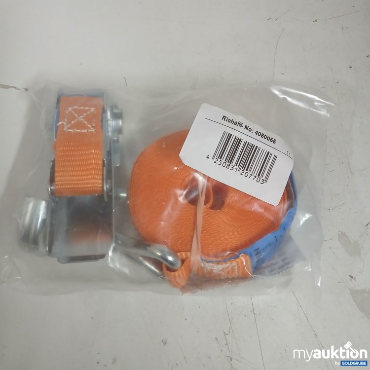 Artikel Nr. 875953: Richel Spanngurt 4050055