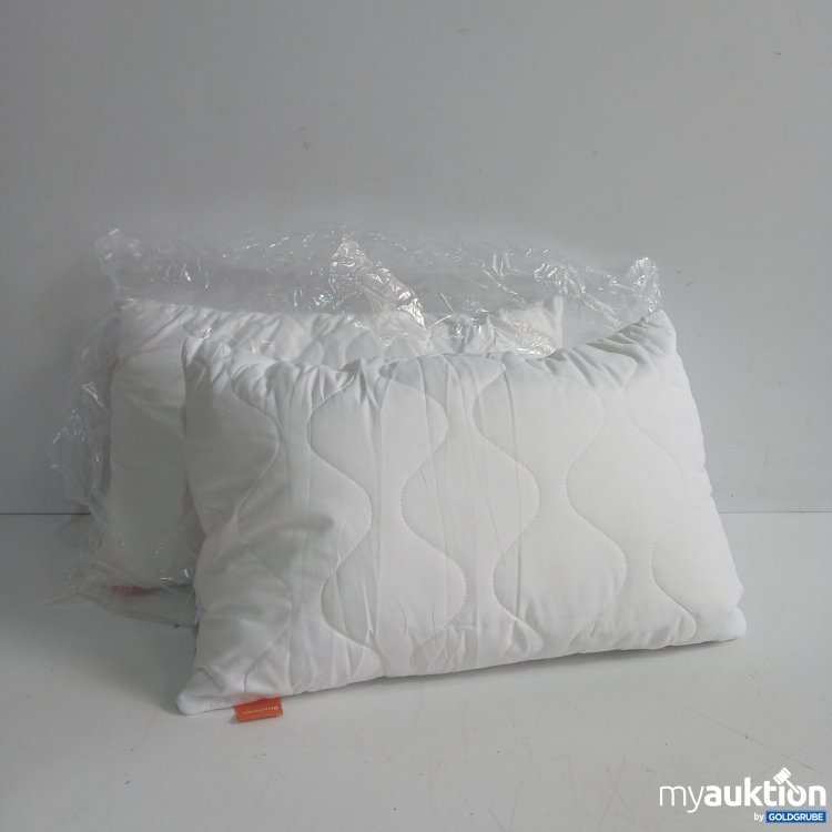 Artikel Nr. 956953: Kopfkissen ca. 60x30cm 2er Set 