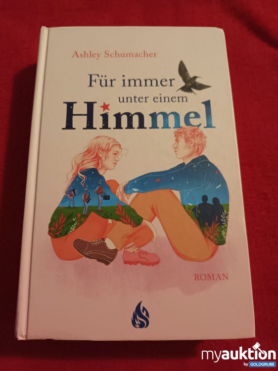 Artikel Nr. 906954 Artikel Nr. 906954: Roman, Für immer unter einem Himmel