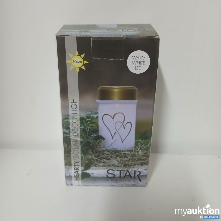 Artikel Nr. 917954: Star Trading Hearty Solar Deco Light 