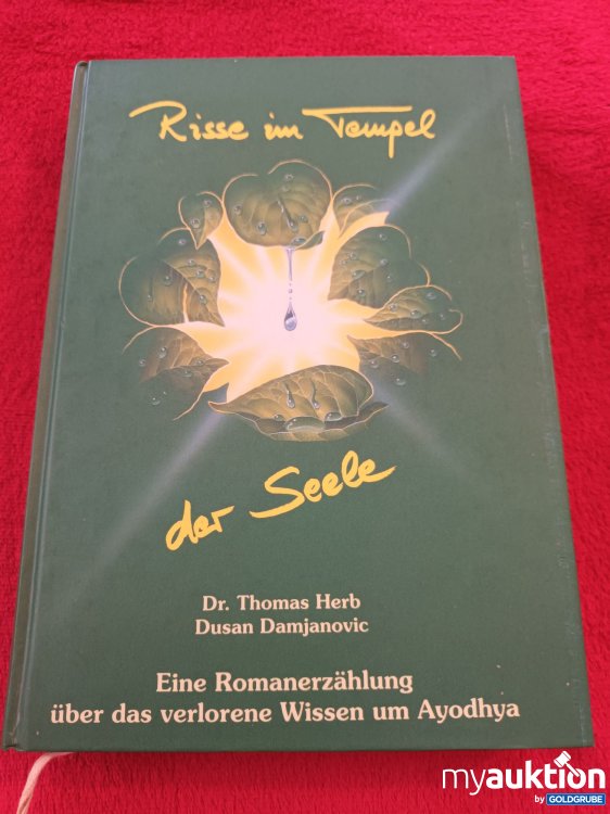 Artikel Nr. 940960 Artikel Nr. 940960: Risse im Tempel der Seele