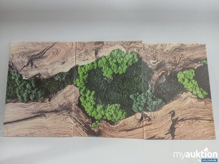 Artikel Nr. 959962: Leinwandbild 70x50