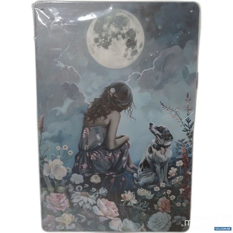 Artikel Nr. 912963: Blechschild ca.20x30cm