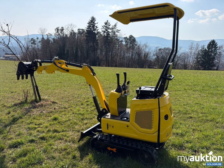 Artikel Nr. 924965: Minibagger Diesel
