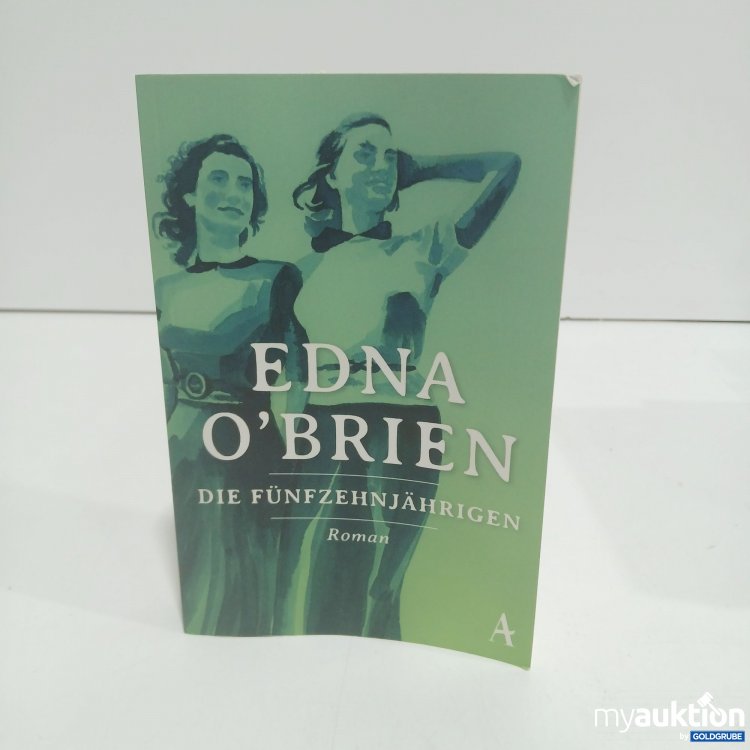 Artikel Nr. 878969: Die Fünfzehnjährigen Roman