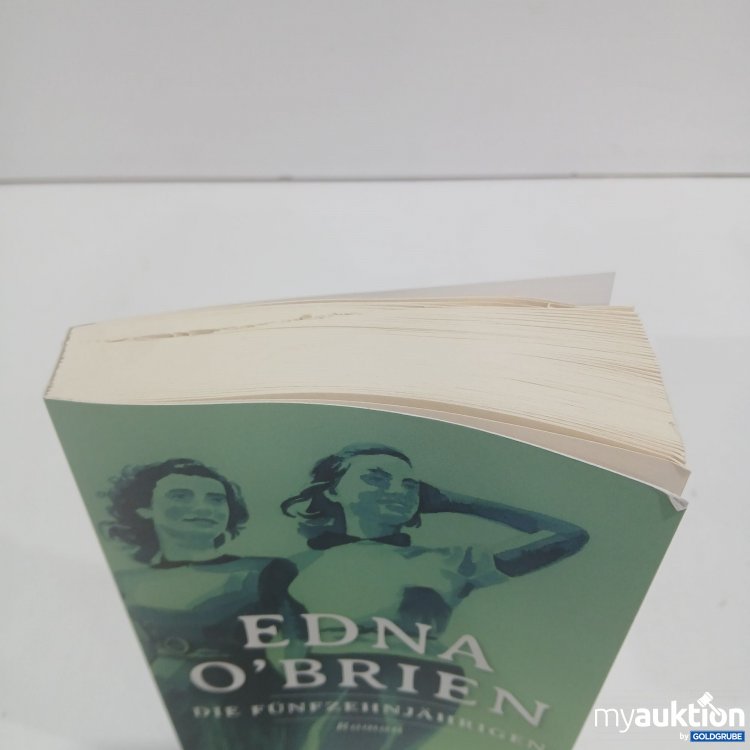 Artikel Nr. 878969: Die Fünfzehnjährigen Roman