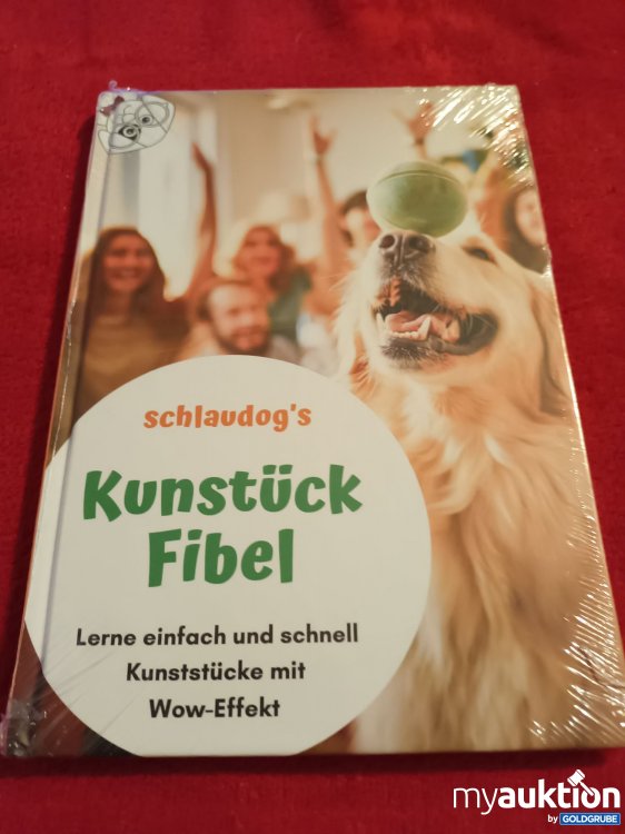 Artikel Nr. 906969 Artikel Nr. 906969: Originalverpackt, Kunstück Fibel