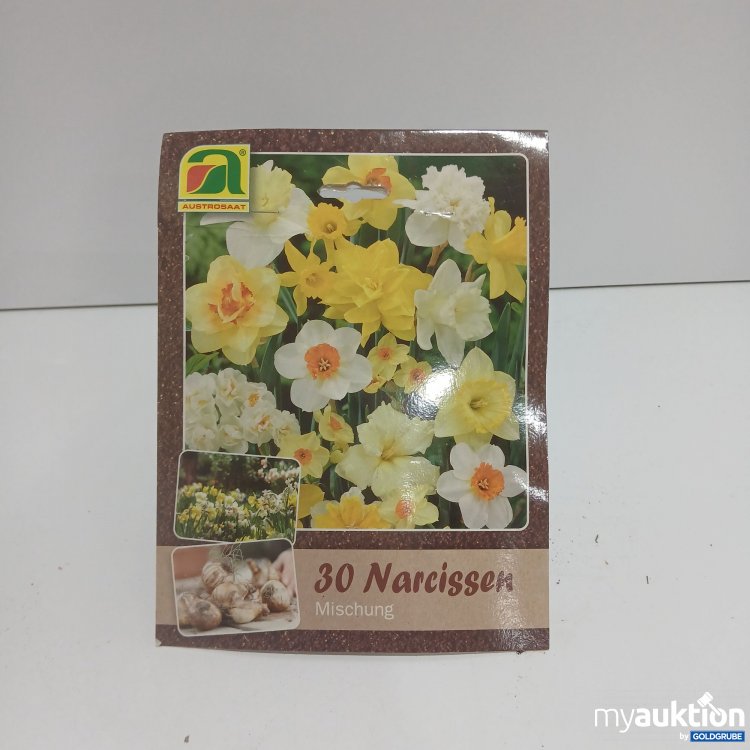 Artikel Nr. 398970 Artikel Nr. 398970: Austrosaat 30 Narcissen Mischung