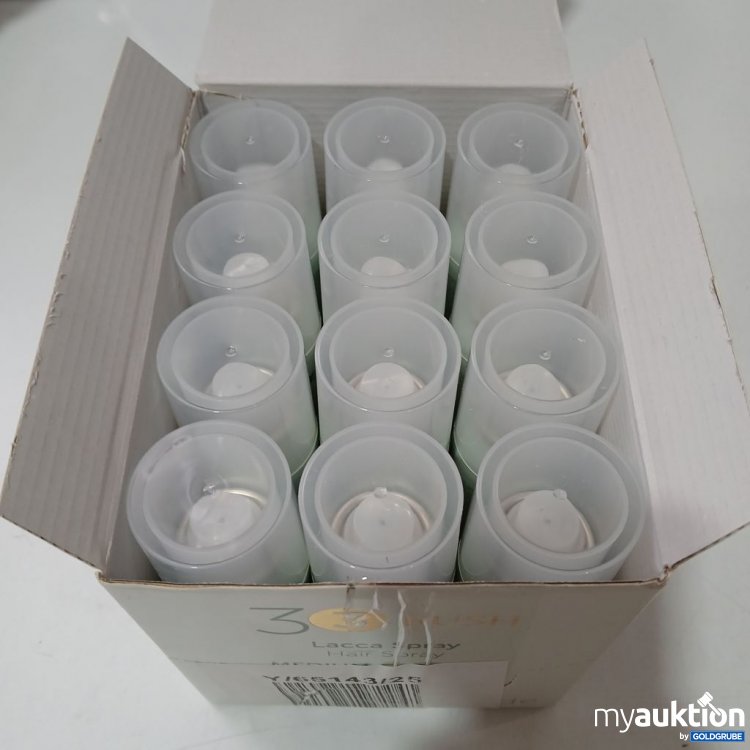 Artikel Nr. 961970 Artikel Nr. 961970: Lackspray 12x200 ml