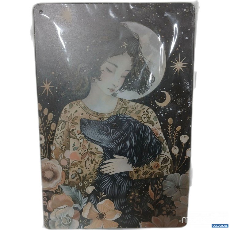 Artikel Nr. 912981: Blechschild ca.20x30cm