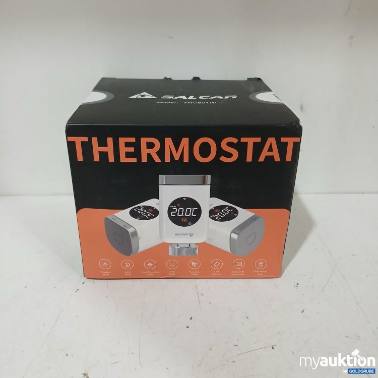 Artikel Nr. 988982 Artikel Nr. 988982: Solar Thermostat TRV801W
